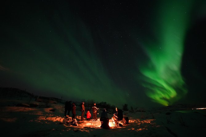 Aurora tour with free portrait and bonfire - Price and value: is $177.60 worth it?