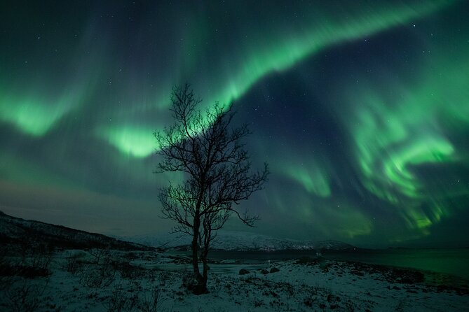 Auroras Hunt - Tour in Spanish, Northern Lights Chase in Spanish - Who this aurora hunt fits best