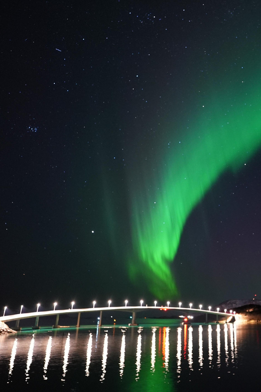 Chase the Magic of the Northern Lights in Tromsø Norway - Why This Tromsø Aurora Hunt Works Better Than Waiting in Town