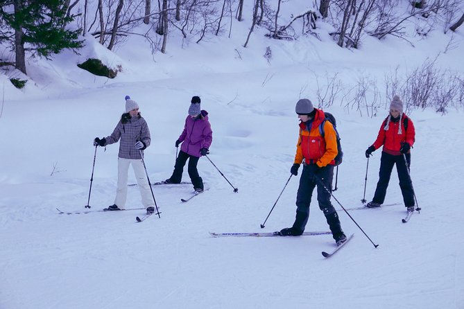 Cross-Country Ski Lesson for Beginners in Tromso - Small Hills If You’re Ready: Climbing and Controlled Sliding