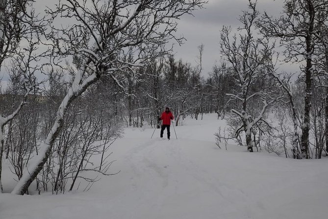 Cross-Country Ski Lesson for Beginners in Tromso - Weather Reality in Tromsø: What to Wear (and What to Bring)