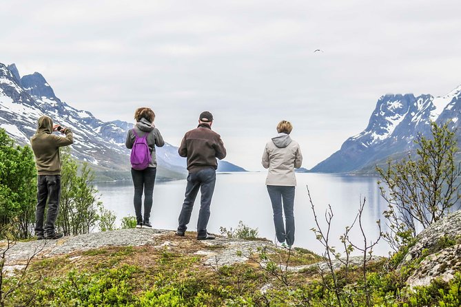 Discover the Fjords of Kvaloya - a roadtrip along fjords and fishing villages - Getting to Kvaløya: the easy morning from Tromsø