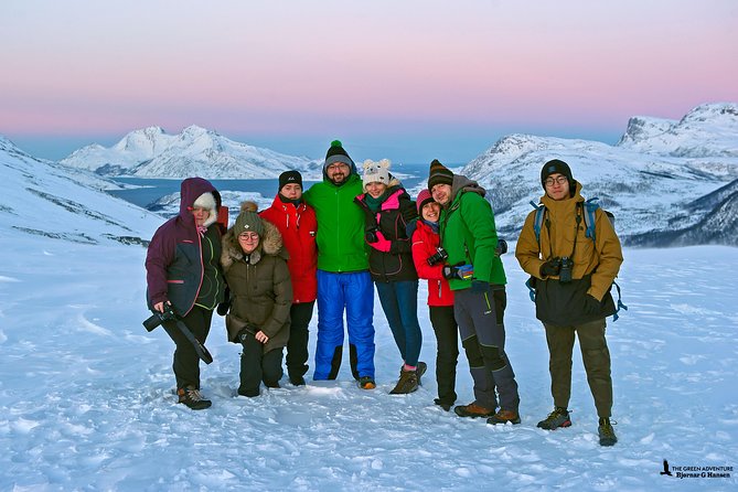 Discover the Fjords of Kvaloya - a roadtrip along fjords and fishing villages - Wildlife spotting: how to maximize your chances without stress