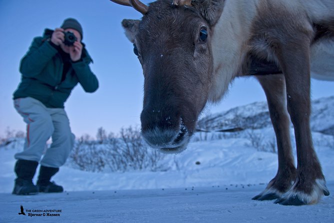 Discover the Fjords of Kvaloya - a roadtrip along fjords and fishing villages - Timing, weather, and what to wear in Tromsø fjord country