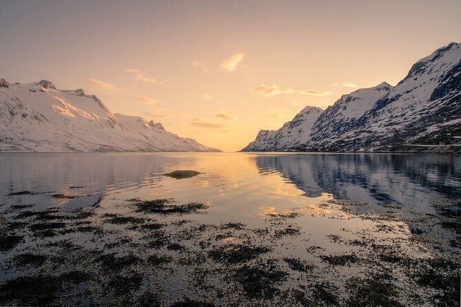 Discover the Fjords of Kvaloya - a roadtrip along fjords and fishing villages - Kvaløya Island fjords and fishing villages: where the best moments happen