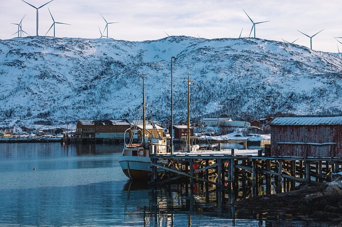 Discovery tour of the island of Senja and Kvaløya from Tromsø - From Tromsø: why these two islands work together