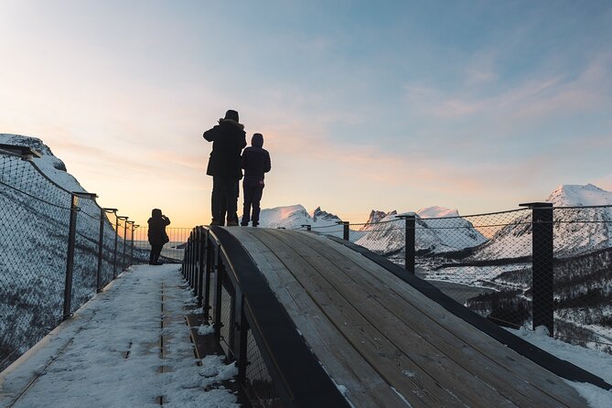 Discovery tour of the island of Senja and Kvaløya from Tromsø - Price and value: does $289.69 feel fair?