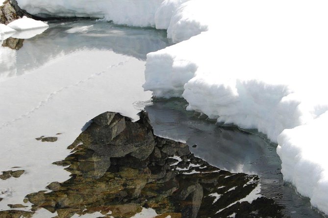 Eco friendly snowshoeing in Scenic Landscape - Prestvannet Lake snowshoeing: the quiet highlight