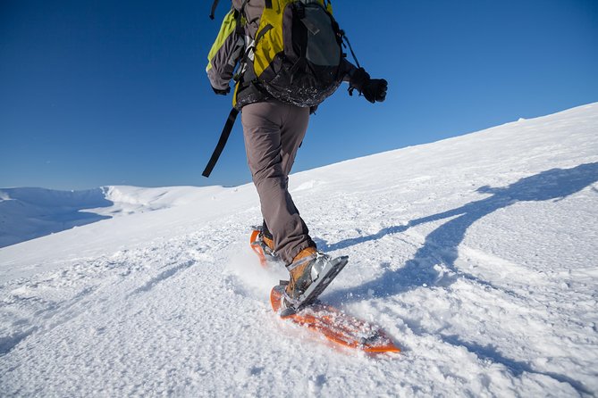 Eco friendly snowshoeing in Scenic Landscape - The Arctic TeslaX ride: comfort, views, and an easy start