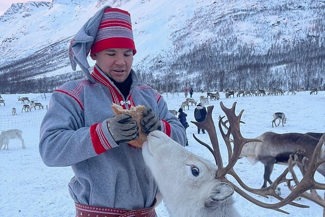 Exclusive Reindeers Experience in small groups, Tromso - Who Should Book This Reindeer Camp Experience