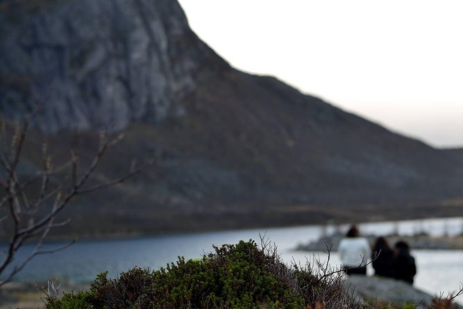 Fjord Expedition: Arctic Adventure Awaits - Who This Fjord Expedition Fits Best