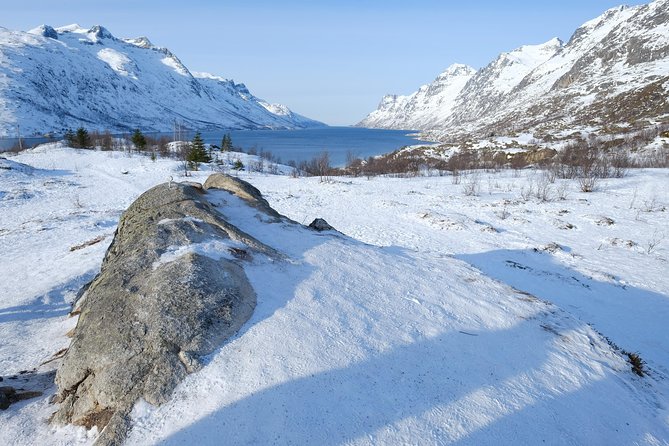 Fjord, Mountain and Wildlife Tour - Fjord Views Without a Car: Why this Tromsø half-day works