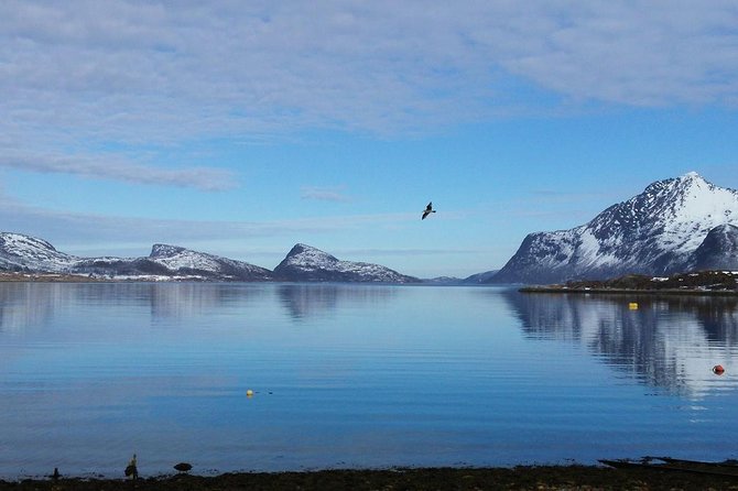Fjord, Mountain and Wildlife Tour - Thermal suites and hot drinks: turning cold waits into real comfort