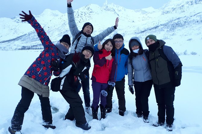 Fjord, Mountain and Wildlife Tour - Wild reindeer odds: how this tour fits wildlife without guarantees