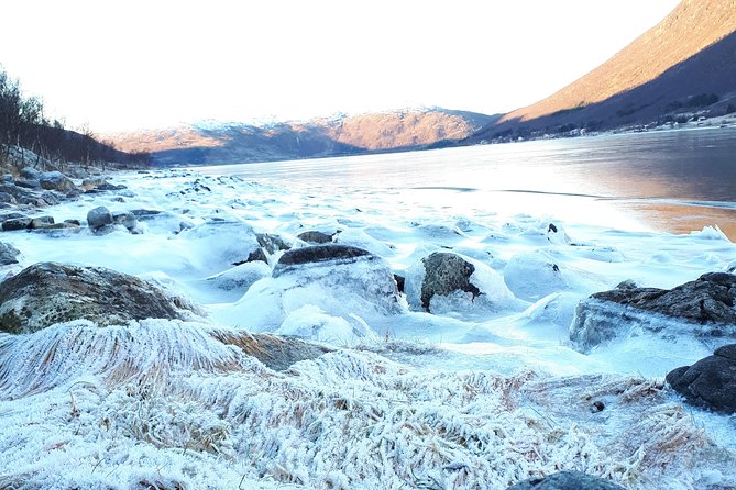 Fjord, Mountain and Wildlife Tour - Groups, seats, and guide style: what to expect in the van