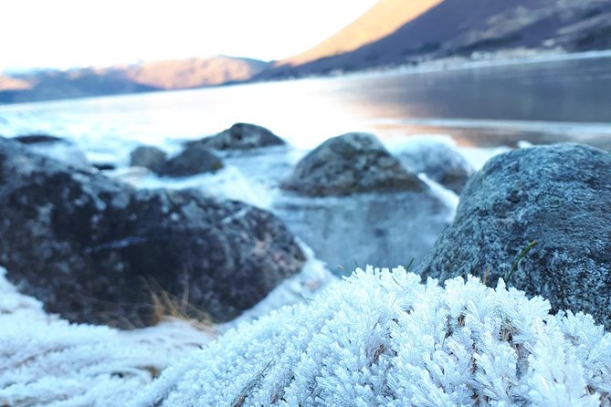 Fjord, Mountain and Wildlife Tour - Price at $123.78: what you’re really paying for