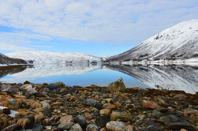 Fjord, Mountain and Wildlife Tour - Should you book the Fjord, Mountain and Wildlife Tour?
