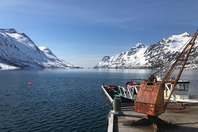 Fjord Sightseeing - Eco friendly Tesla Model X - Key things I’d watch for