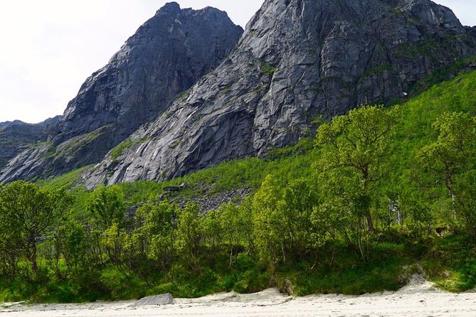 Fjord Sightseeing - Eco friendly Tesla Model X - Private Pacing With Fewer People (and Why That Matters)