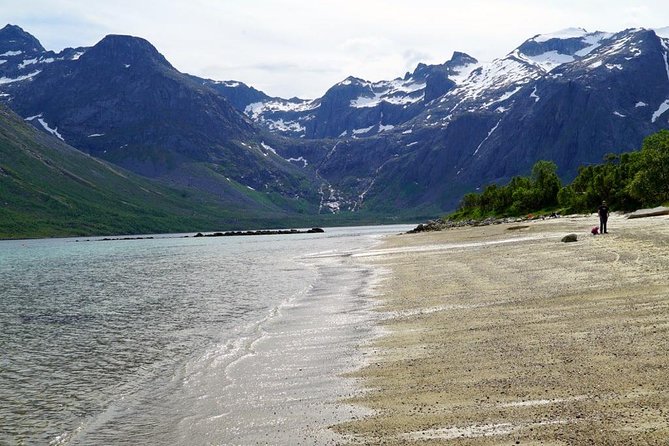 Fjord Sightseeing - Eco friendly Tesla Model X - Aurora Borealis in Reality: How to Keep Your Expectations on Track