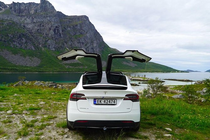 Fjord Sightseeing - Eco friendly Tesla Model X - Who Should Book This Fjord Tour?