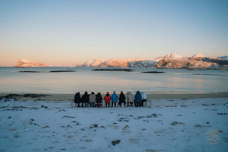 From Tromsø: Arctic Roadtrip: fjords tour with scenic picnic - Wildlife hopes: sea eagles, reindeer, and the moose question