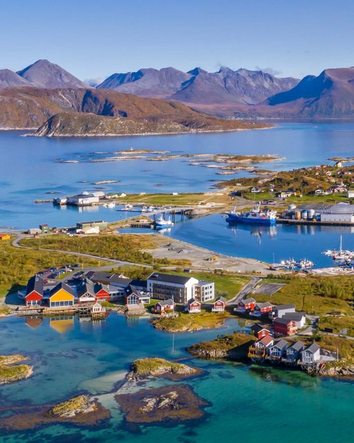 From Tromsø: Arctic Wildlife & Fjord Sightseeing Tour by Car - Bird cliffs at Sommarøy: seabirds and sea eagles are the giveaway