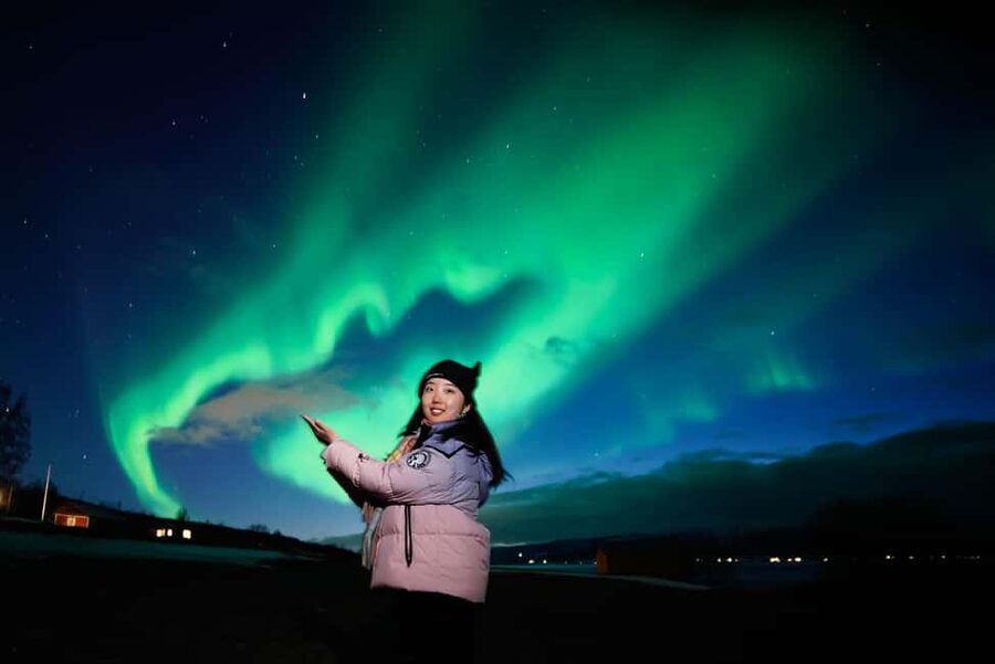 From Tromsø: Aurora Borealis Tour - Who This Tour Suits Best (And Who Might Reconsider)