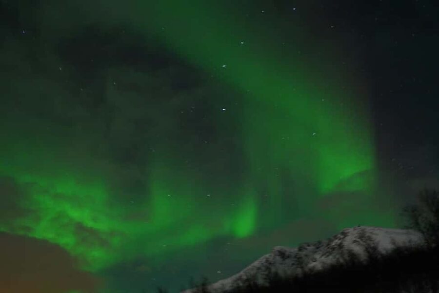 From Tromsø: Aurora Bus Tour with Snacks, Photos, and Drinks - Key Things I’d Actually Plan Around