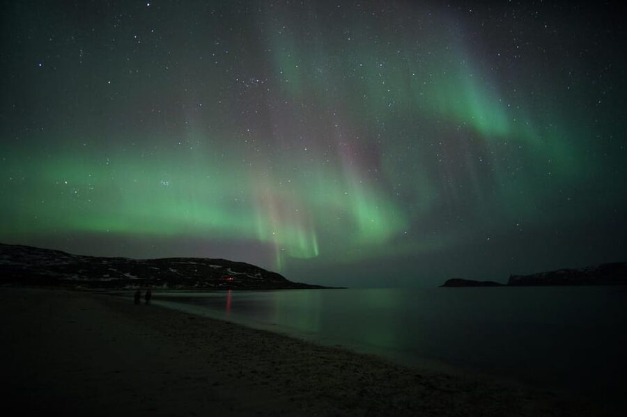 From Tromsø: Aurora Bus Tour with Snacks, Photos, and Drinks - On the Road: Comfort, Hot Drinks, and a Bus That Takes You Seriously