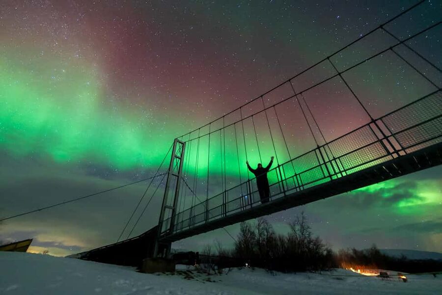 From Tromsø: Aurora Minibus Chase with Portrait and Hot Meal - Key Takeaways