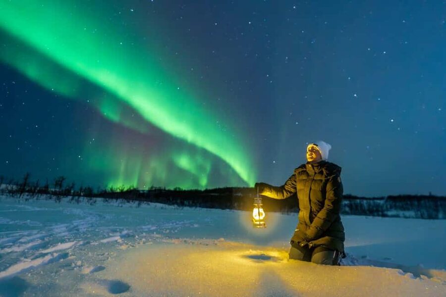 From Tromsø: Aurora Minibus Chase with Portrait and Hot Meal - Price, Group Size, and the Value Question