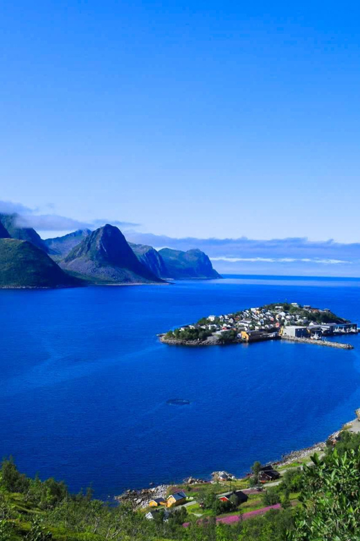 From Tromsø:（Chinese）Senja Day Trip - Tungeneset Devil’s Tooth and Bergsbotn’s high-altitude view