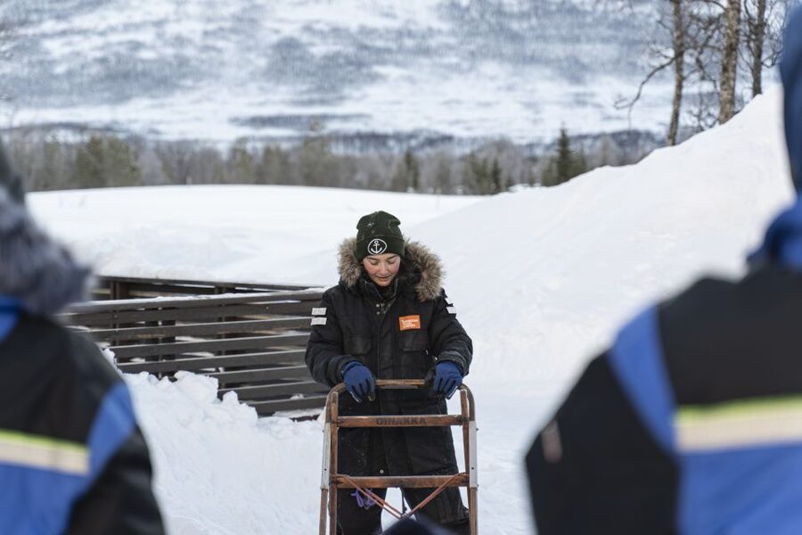 From Tromsø: Fun and Easy Dog Sledding Adventure - Quick hits if you’re deciding