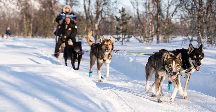 From Tromsø: Fun and Easy Dog Sledding Adventure - Gear checklist: thermal suit, boots, mittens, and the one extra you should add