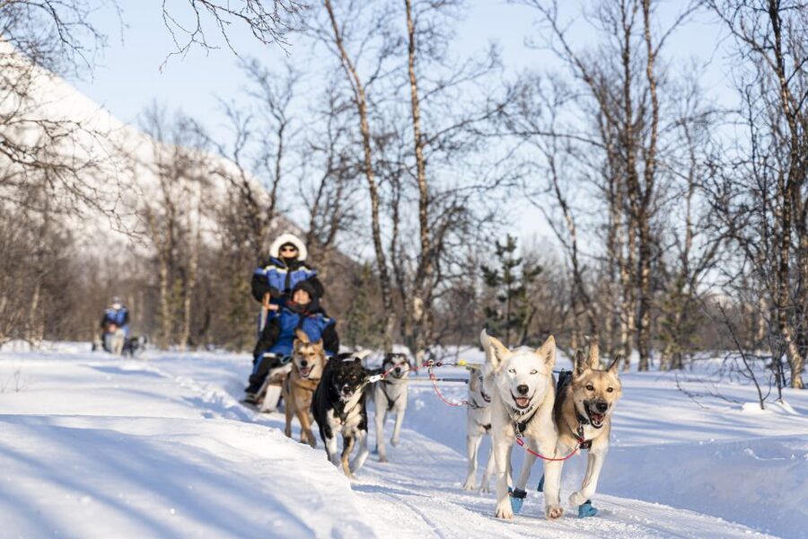 From Tromsø: Fun and Easy Dog Sledding Adventure - How the sled works: driver/passenger swap that boosts your photos and comfort