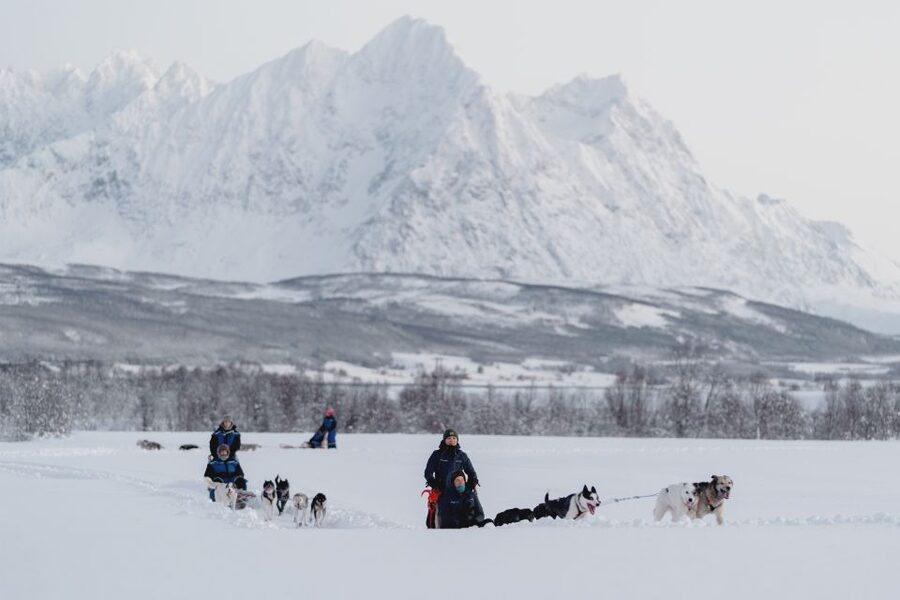 From Tromsø: Fun and Easy Dog Sledding Adventure - Who this tour suits best (and who should skip it)