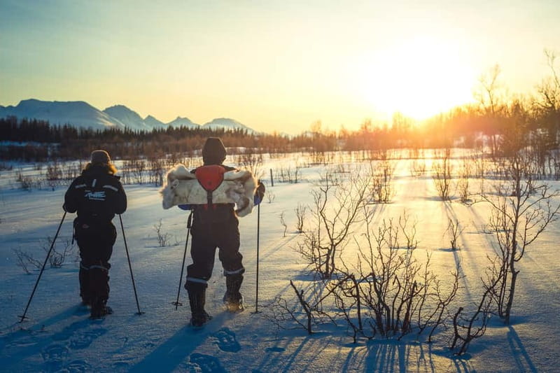 From Tromsø: Guided Husky Snowshoe Hike and Husky Camp Visit - Kvaløya huskies: why this feels more hands-on than it sounds