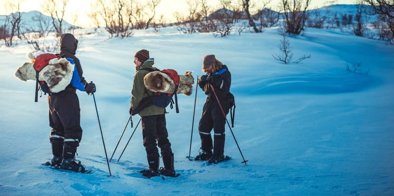 From Tromsø: Guided Husky Snowshoe Hike and Husky Camp Visit - The mountain views and the guide’s pace: what you should aim for