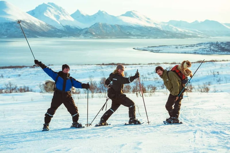 From Tromsø: Guided Husky Snowshoe Hike and Husky Camp Visit - Transport and group flow: what the 5 hours really mean