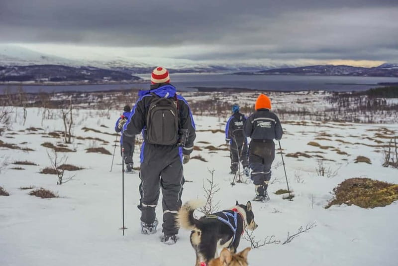 From Tromsø: Guided Husky Snowshoe Hike and Husky Camp Visit - From Radisson Blu to the husky camp: getting set up fast