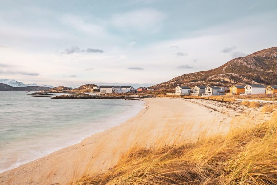 From Tromsø: Kayak trip with lunch and sauna at Sommarøy - The White-Sand Beach Break and Optional Arctic Swim