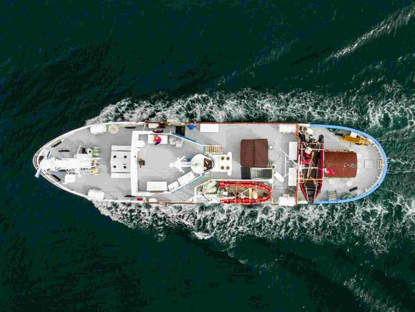 From Tromsø: Northern Lights Cruise on a Cozy Vintage Vessel - Why this cruise feels different than a bus tour
