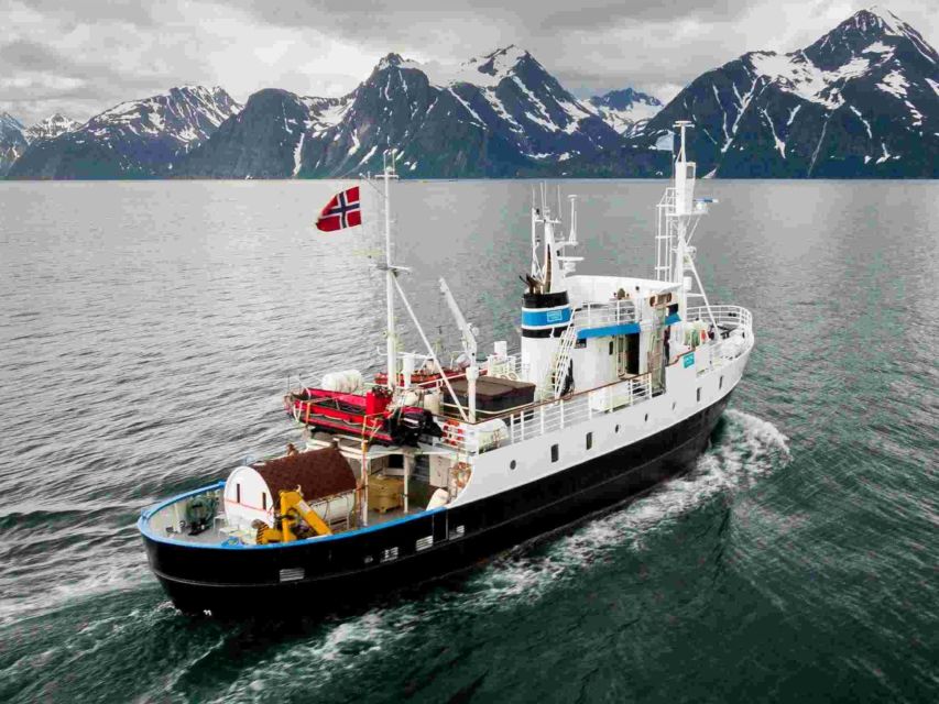 From Tromsø: Northern Lights Cruise on a Cozy Vintage Vessel - Getting set up at Full Steam Tromsø (and why it matters)