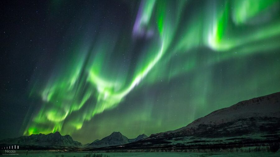 From Tromsø: Northern Lights Tour - Chasing the Aurora from Tromsø, Without the Guesswork