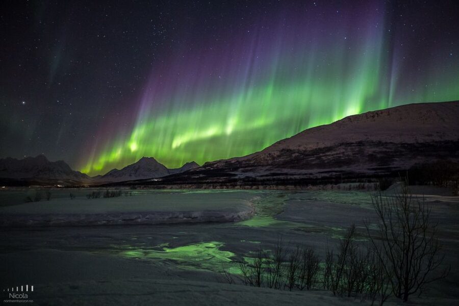 From Tromsø: Northern Lights Tour - Price and Value: Why $235 Can Make Sense