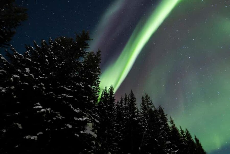 From Tromsø: Northern Lights Visit at Camp Tamok - Northern Lights Reality Check: you can improve odds, not control outcomes