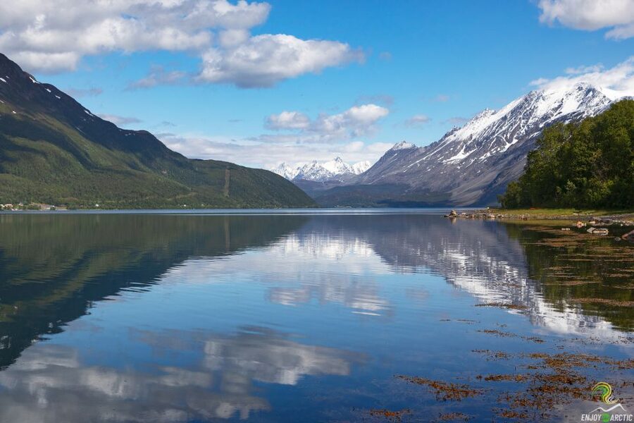 From Tromso: Norwegian Fjords Half-Day Tour - Key Things I’d Pack in Your Brain Before You Go
