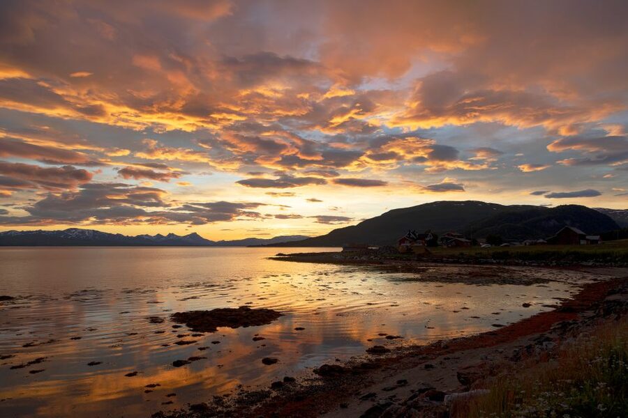 From Tromso: Norwegian Fjords Half-Day Tour - Kvaløya Fjords in Five Hours: Why This Half-Day Works
