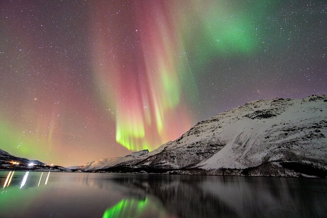 From Tromsø: OFFICIAL Northern Lights Safari by Minibus - Quick take: the highlights that matter